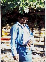 Click to enlarge image