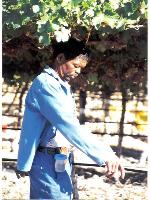 Click to enlarge image